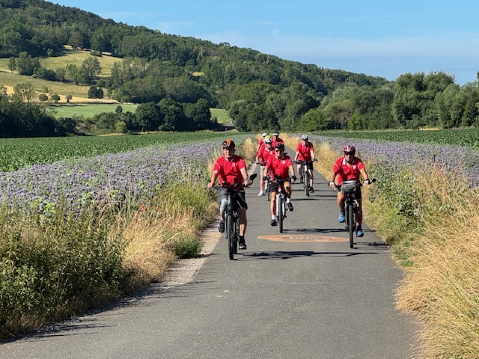 Radlergruppe auf einem Feldweg zwischen blau blühenden Feldern